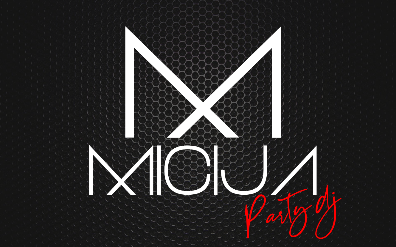 trouwfeest-dj's Mol ask for DJ Micija (& DJ gear rentals)