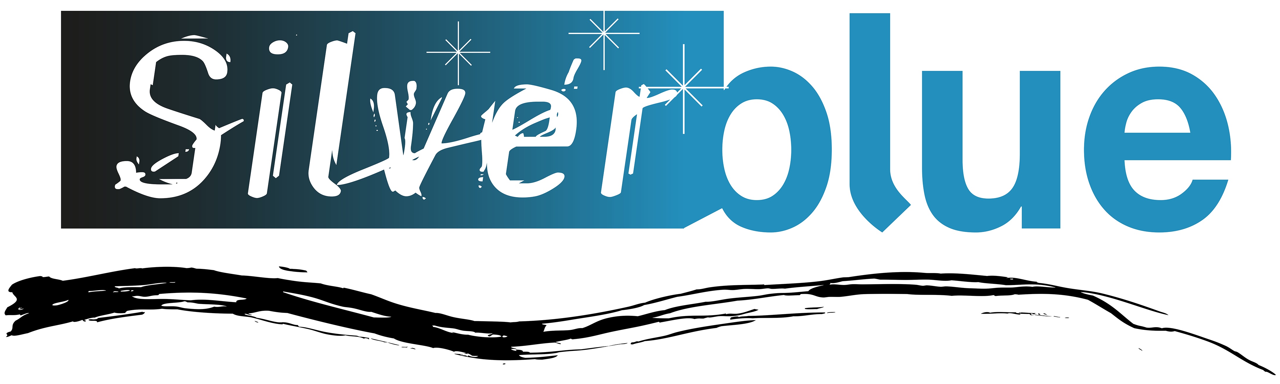 trouwfeest-dj's Evergem Silverblue